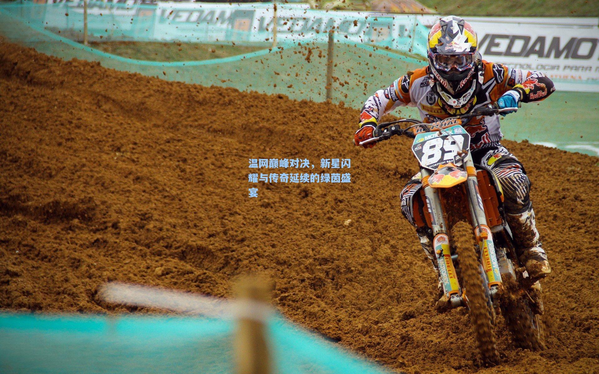 温网巅峰对决,新星闪耀与传奇延续的绿茵盛宴